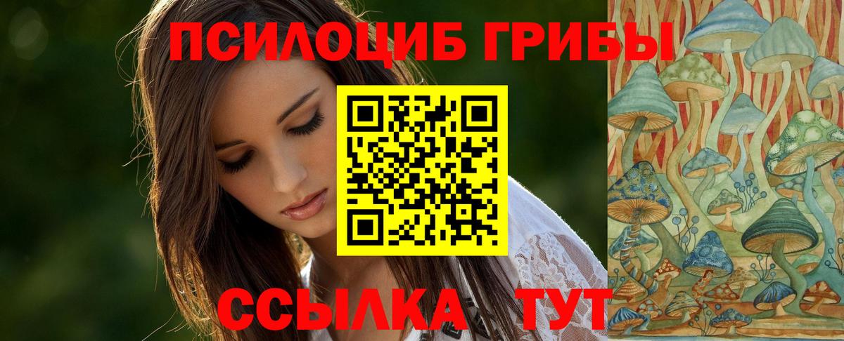 Галлюциногенные грибы Psilocybine cubensis Тавда